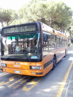 SERVIZI DI LINEA - SAC CERVIA